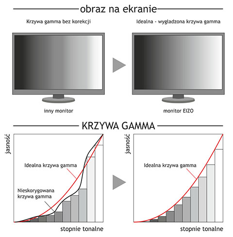regulacja krzywej gamma w monitorach ColorEdge CG277
