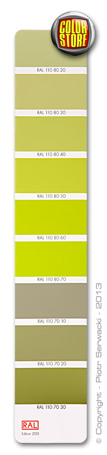 Wzornik kolorów RAL D2 DESIGN